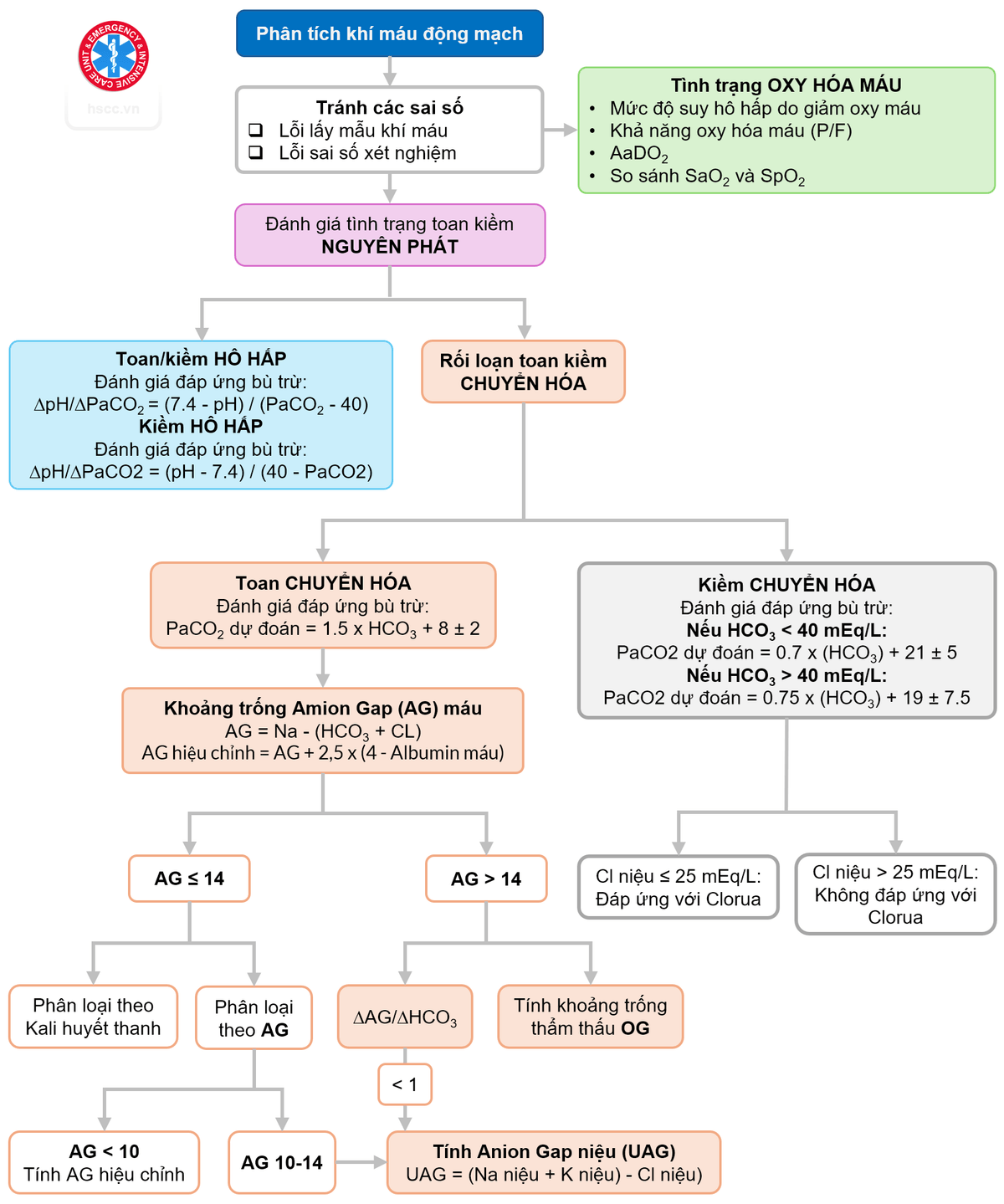 Phân tích khí máu động mạch (ABG)