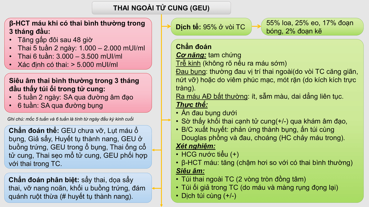 Thai ngoài tử cung (GEU)