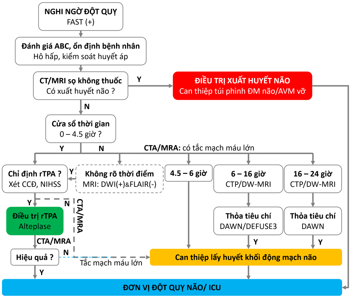 Tiếp cận tiêu sợi huyết trong Đột quỵ nhồi máu não cấp
