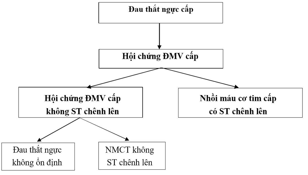 Hội chứng vành cấp