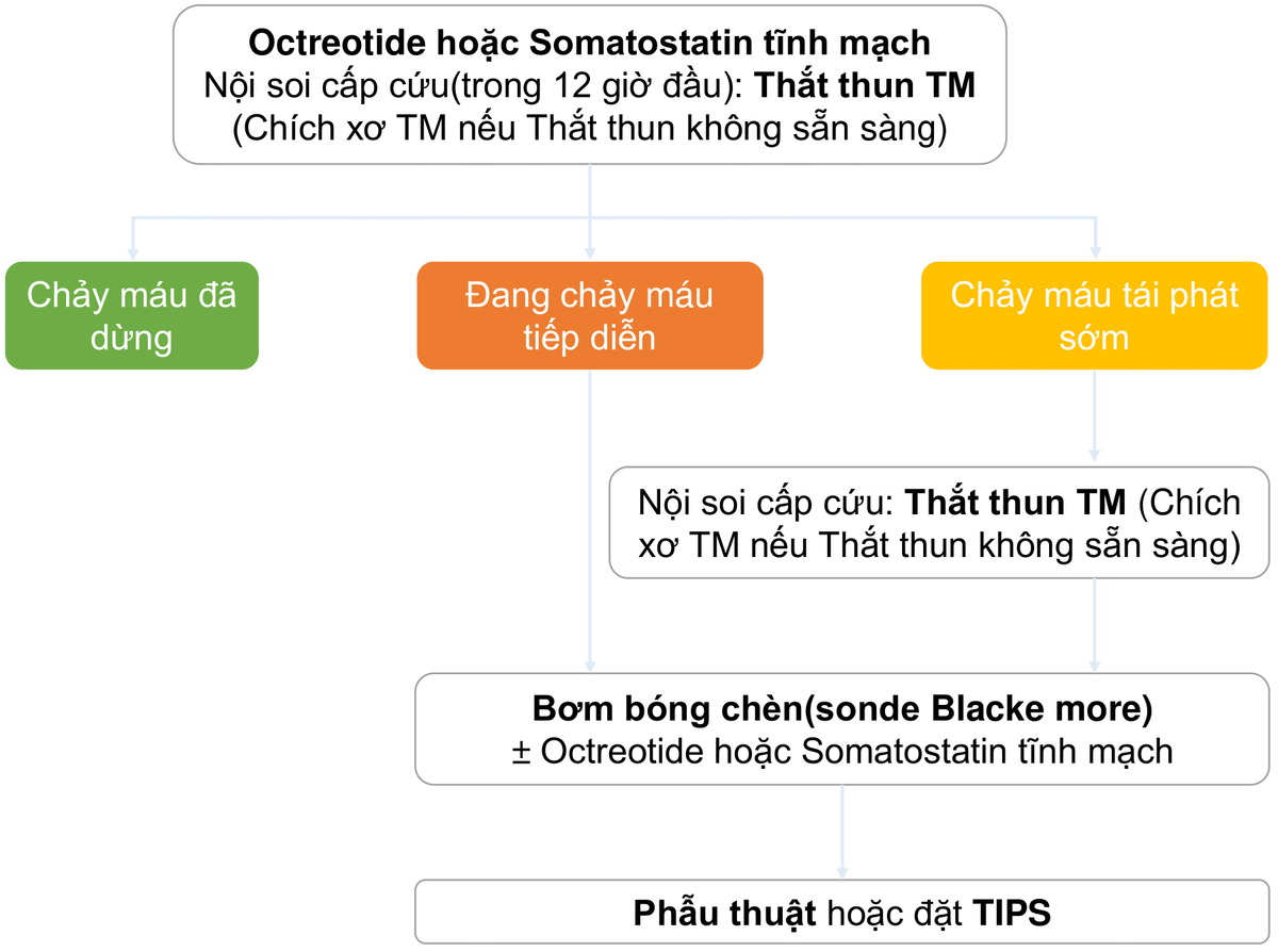 Xuất huyết tiêu hóa trên